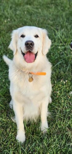 Snowy River Zander Cage