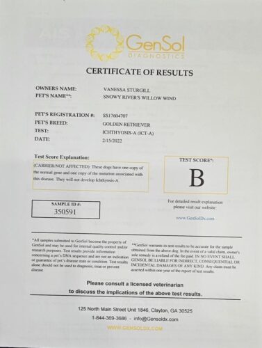 Snowy River's Willow Wind (Dam)