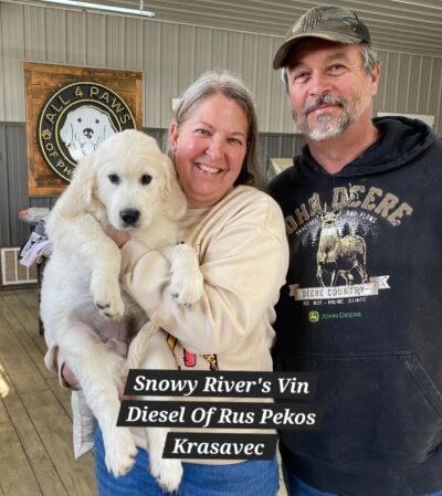 Snowy River's Vin Diesel Of Rus Pekos Krasavec (Sire)