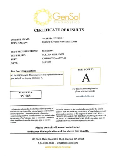 Snowy River's Winter Storm (Dam)