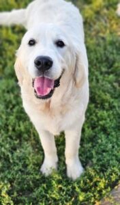 Snowy River's Princess Neytiri