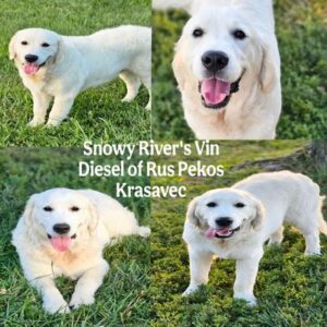 Snowy River's Princess Neytiri