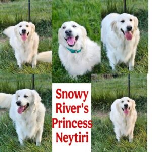 Snowy River's Princess Neytiri