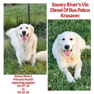 Snowy River's Princess Neytiri