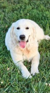 Snowy River's Princess Neytiri