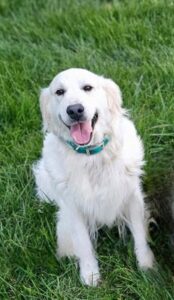 Snowy River's Princess Neytiri