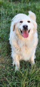 Snowy River's Princess Neytiri