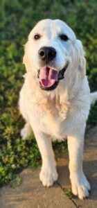 Snowy River's Princess Neytiri