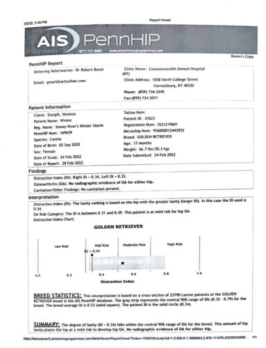 Snowy River's Winter Storm (Dam)