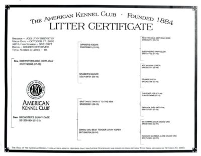 Snowy River's Princess Neytiri