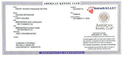 Snowy River's Princess Neytiri