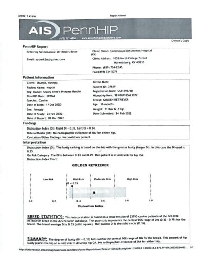 Snowy River's Princess Neytiri
