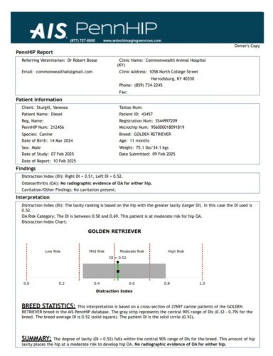 Snowy River's Vin Diesel Of Rus Pekos Krasavec (Sire)