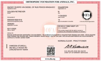 Snowy River's Vin Diesel Of Rus Pekos Krasavec (Sire)