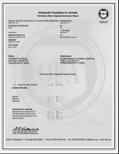 Snowy River's Vin Diesel Of Rus Pekos Krasavec (Sire)