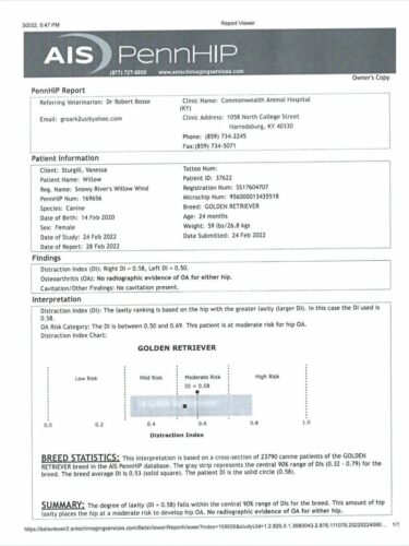 Snowy River's Willow Wind (Dam)