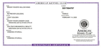 Snowy River's Willow Wind (Dam)