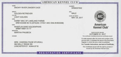 Snowy River Zander Cage (Sire)