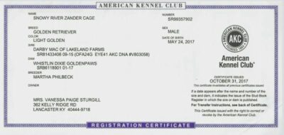 Snowy River's Prince Of Thieve's (Sire)