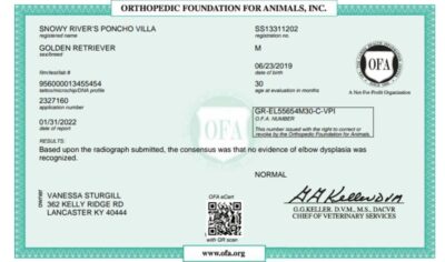 Snowy River's Poncho Villa Poncho (Sire)