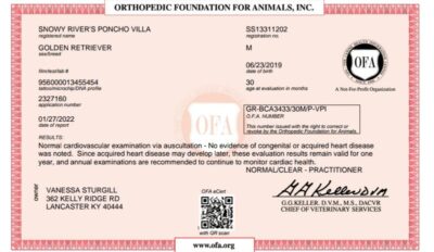 Snowy River's Poncho Villa Poncho (Sire)