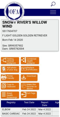 Snowy River's Willow Wind (Dam)