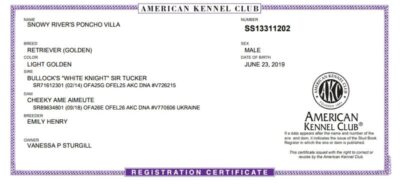 Snowy River's Poncho Villa Poncho (Sire)