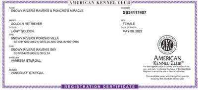 Bitch: Snowy River's Raven's and Poncho's Miracle (Dam)