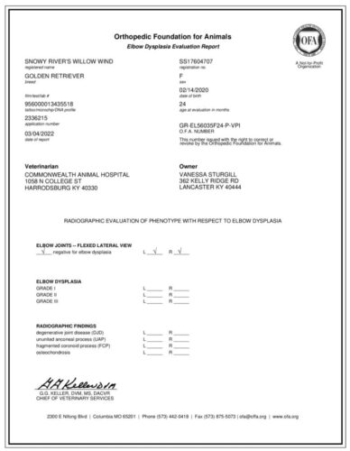 Snowy River's Willow Wind (Dam)