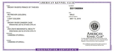 Snowy River's Prince Of Thieve's (Sire)