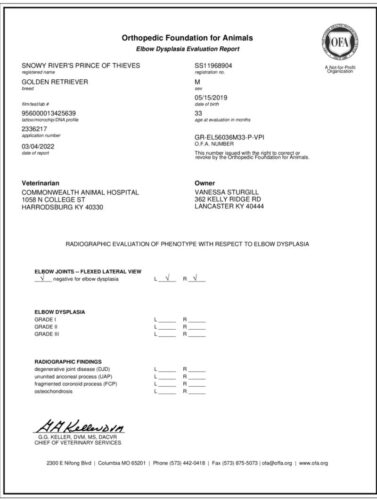 Snowy River's Prince Of Thieve's (Sire)