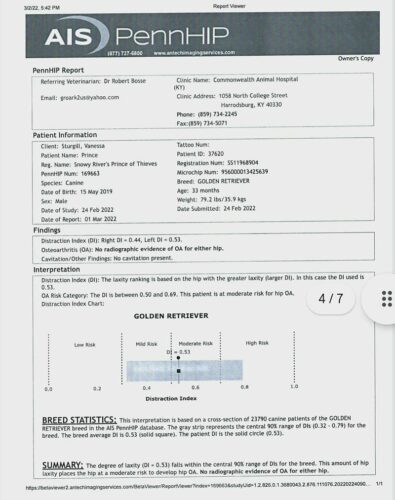 Snowy River's Prince Of Thieve's (Sire)