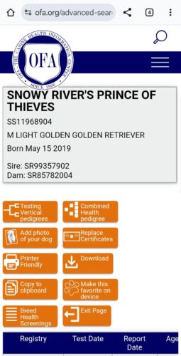 Snowy River's Prince Of Thieve's (Sire)