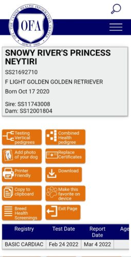 Snowy River's Princess Neytiri