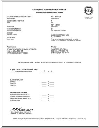 Screenshot_20250509_123959_Drive~2