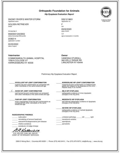 Snowy River's Winter Storm (Dam)
