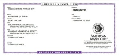 Screenshot_20250509_124541_Drive~2