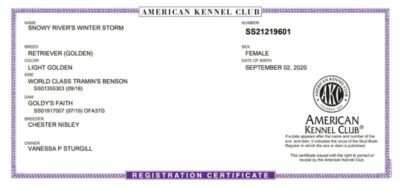 Snowy River's Winter Storm (Dam)