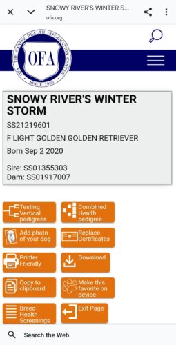 Snowy River's Winter Storm (Dam)