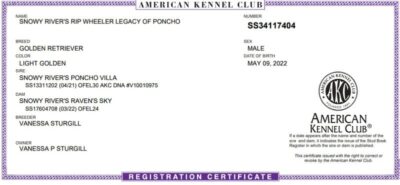 Snowy River's Rip Wheeler Legacy Of Poncho drive