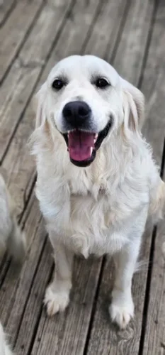 Snowy River's Winter Storm (Dam)