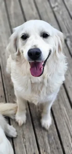 Snowy River's Winter Storm (Dam)