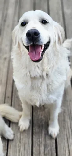 Snowy River's Winter Storm (Dam)