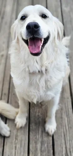 Snowy River's Winter Storm (Dam)