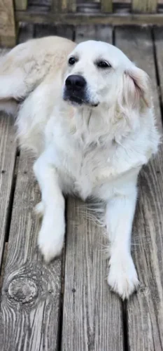 Snowy River's Winter Storm (Dam)