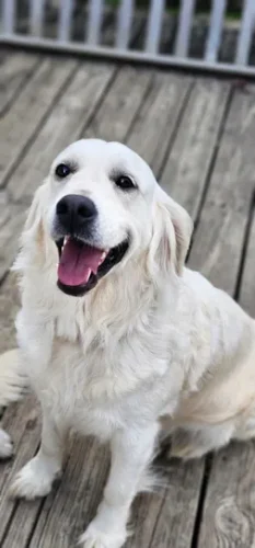 Snowy River's Winter Storm (Dam)