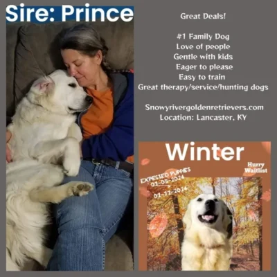 Snowy River's Winter Storm (Dam)