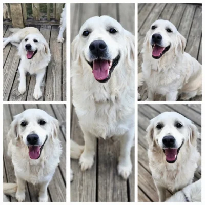 Snowy River's Winter Storm (Dam)